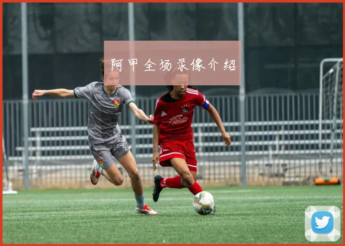 阿甲全场录像介绍