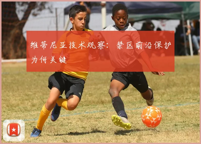 维蒂尼亚技术观察：禁区前沿保护为何关键